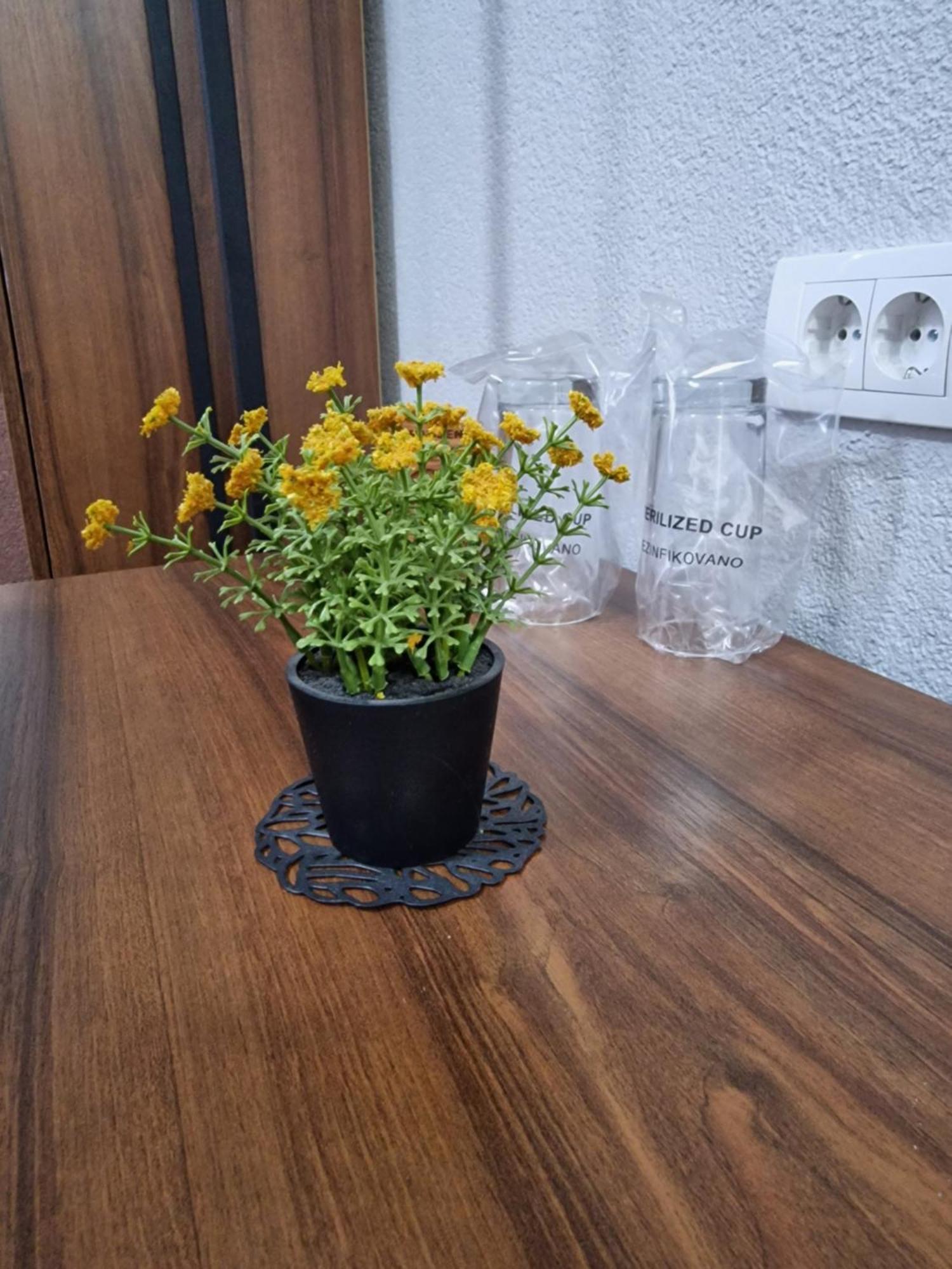 Hotel Djerdan Kraljevo Eksteriør bilde